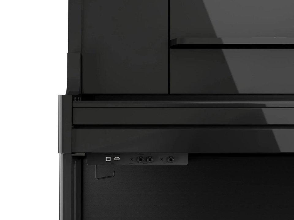 Chi tiết đàn ROLAND LX-9 PE - Hình 4